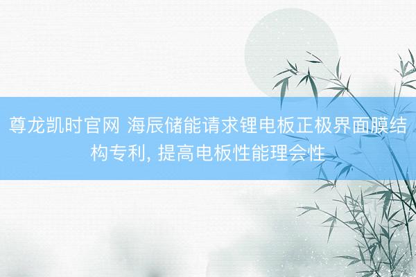 尊龙凯时官网 海辰储能请求锂电板正极界面膜结构专利， 提高电板性能理会性