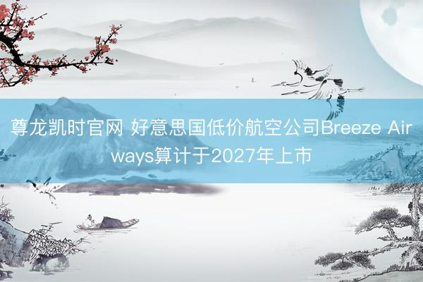 尊龙凯时官网 好意思国低价航空公司Breeze Airways算计于2027年上市