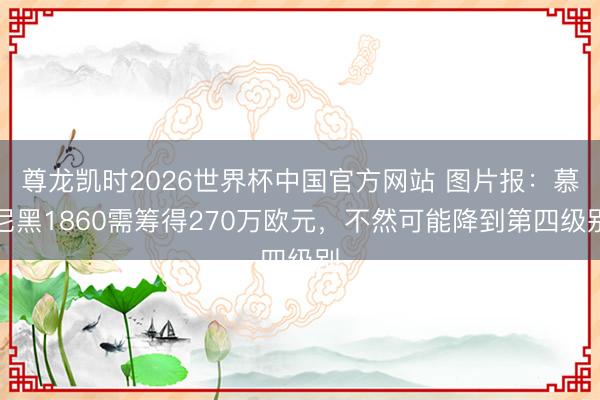 尊龙凯时2026世界杯中国官方网站 图片报：慕尼黑1860需筹得270万欧元，不然可能降到第四级别
