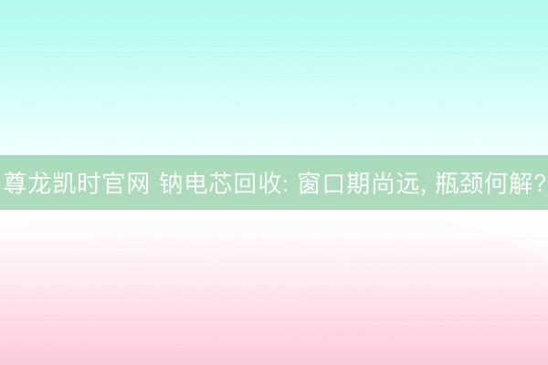 尊龙凯时官网 钠电芯回收: 窗口期尚远, 瓶颈何解?