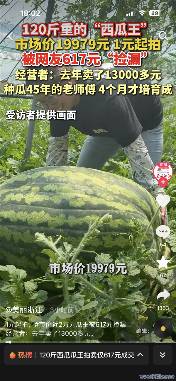 120斤西瓜瓜王拍卖仅617元成交！商场价19979元 旧年同款拍到1.3万
