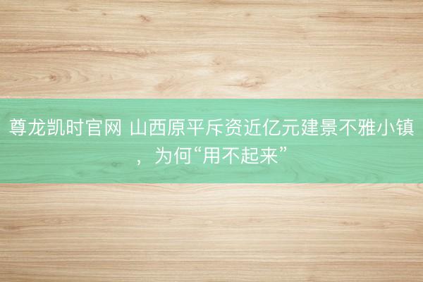 尊龙凯时官网 山西原平斥资近亿元建景不雅小镇，为何“用不起来”
