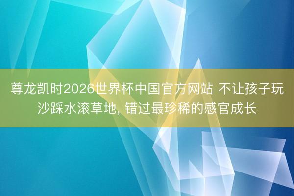 尊龙凯时2026世界杯中国官方网站 不让孩子玩沙踩水滚草地， 错过最珍稀的感官成长
