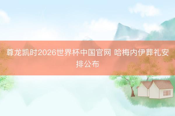 尊龙凯时2026世界杯中国官网 哈梅内伊葬礼安排公布