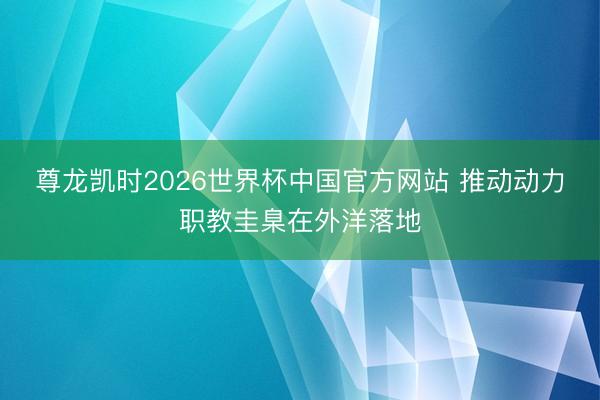 尊龙凯时2026世界杯中国官方网站 推动动力职教圭臬在外洋落地