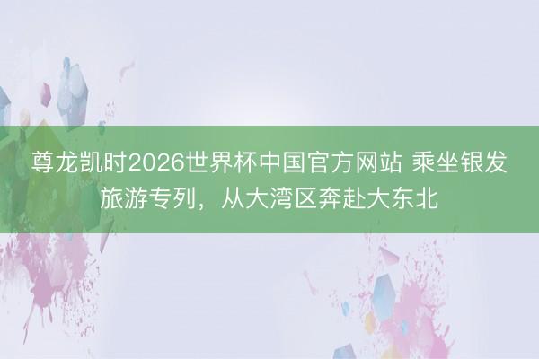 尊龙凯时2026世界杯中国官方网站 乘坐银发旅游专列，从大湾区奔赴大东北