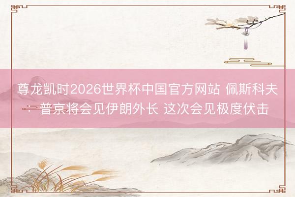 尊龙凯时2026世界杯中国官方网站 佩斯科夫：普京将会见伊朗外长 这次会见极度伏击