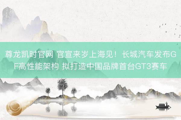 尊龙凯时官网 官宣来岁上海见!长城汽车发布GF高性能架构 拟打造中国品牌首台GT3赛车