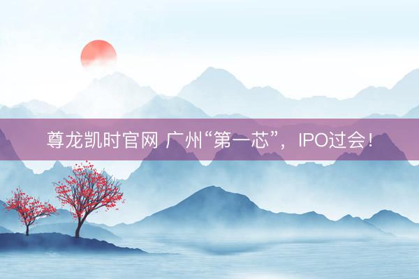 尊龙凯时官网 广州“第一芯”，IPO过会！