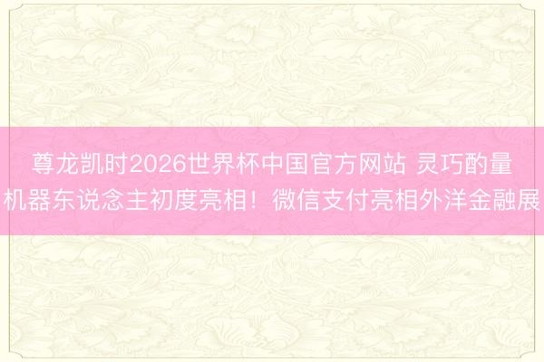 尊龙凯时2026世界杯中国官方网站 灵巧酌量机器东说念主初度亮相！微信支付亮相外洋金融展
